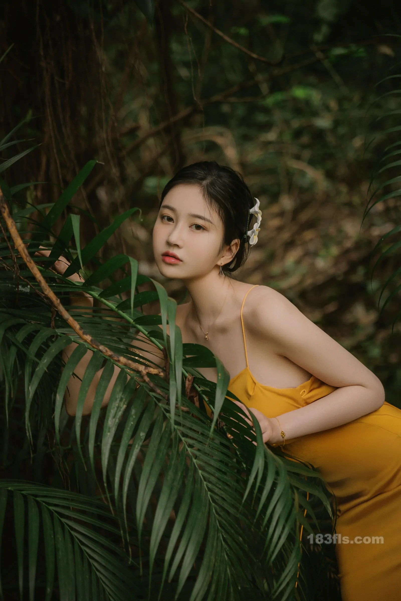 年年nnian - 蒹葭