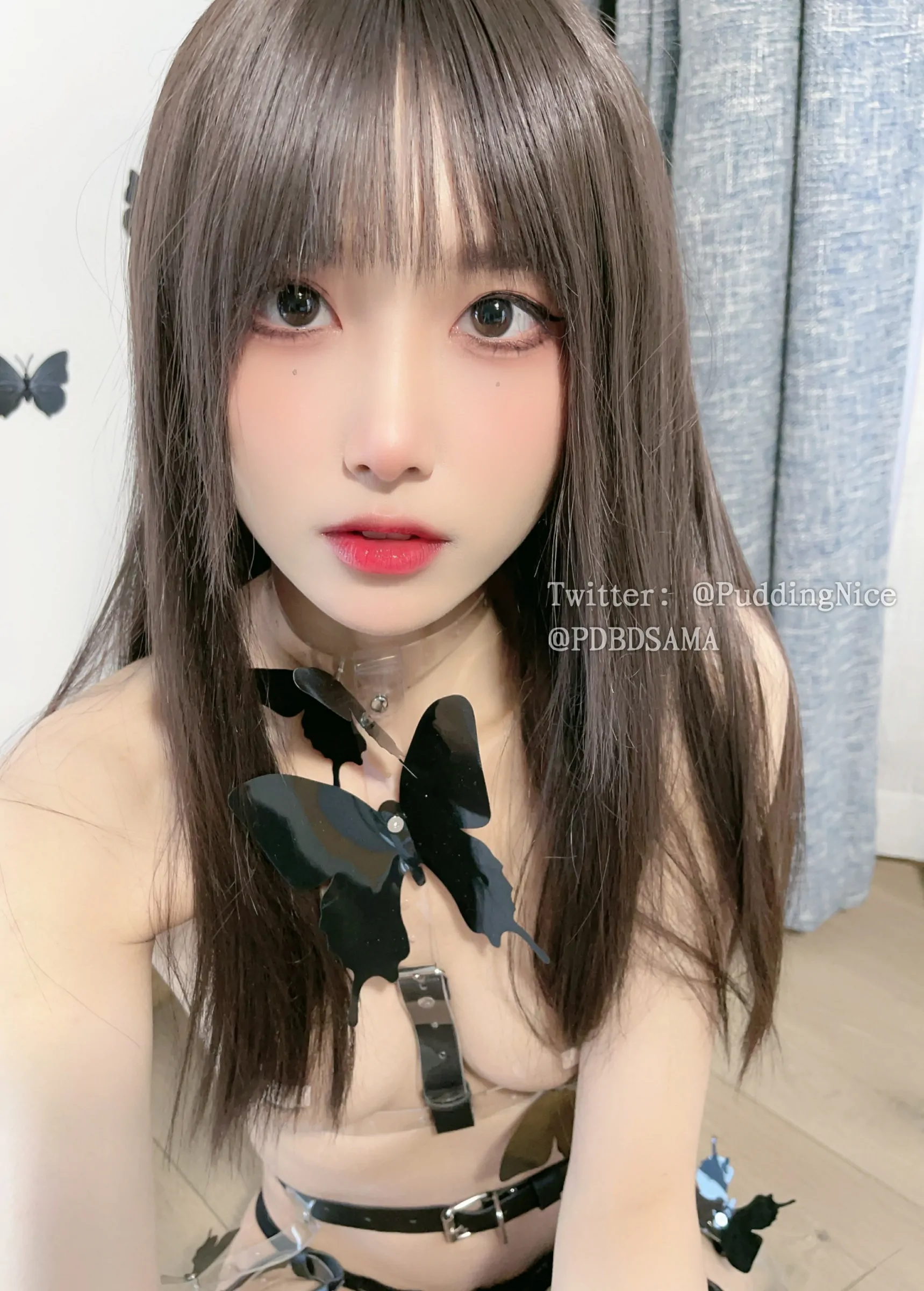 布丁大法 - 冰美式